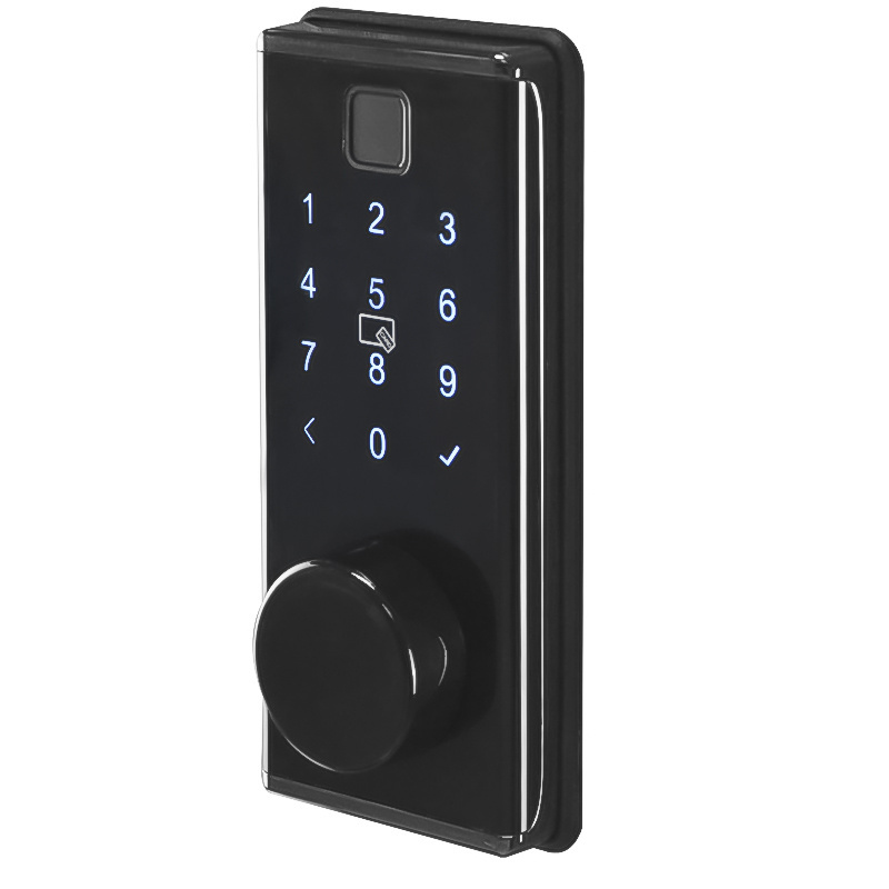 Orbita Black Color High Security Anti Theft Smart Lock Wifi Biometric TT Lock Fingerprint Keypad Door Lock for Interior Door