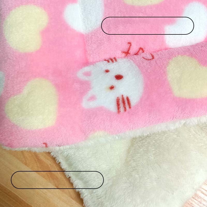 Super Hot Sale Pet mat Thickened High Quality Washable Pet Cat And Dog Travel Blanket Accessories