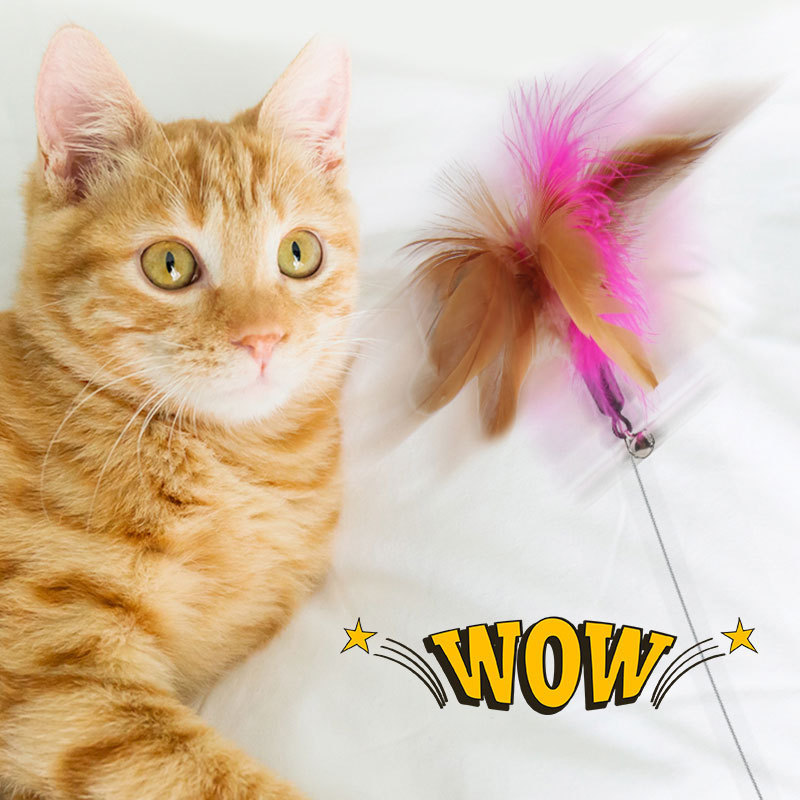 Silicone Pet Collar Bell Feather Tease Cat Stick Accompanying Interactive Cat Toy