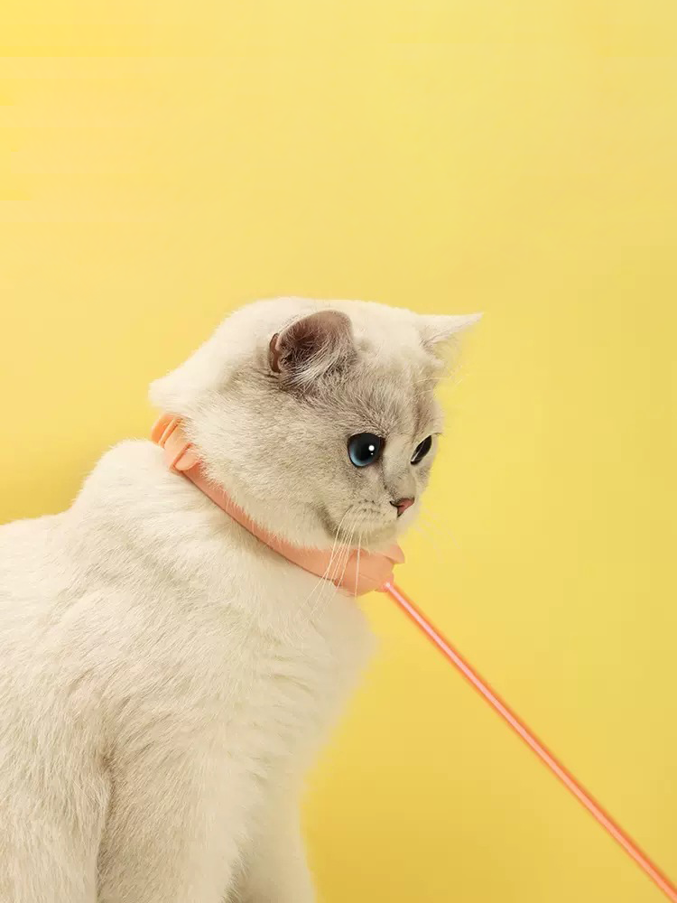 New Selling Silicone Material Adjustable Cat Laser Collar Teasing Toy Cat Stick Pet Collar