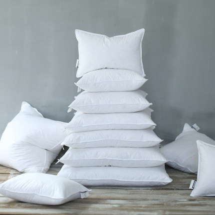 Custom 100% Polyester 45x45 Outdoor Sofa Comfort Seat White Feather Pillow Inner Cushion Inserts