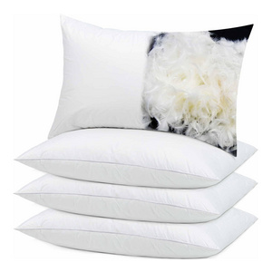 White Sofa Waist Pillowcase Filler Inner Outdoor Chaise Lounge Throw Pillow Cushion Inner For Decoration