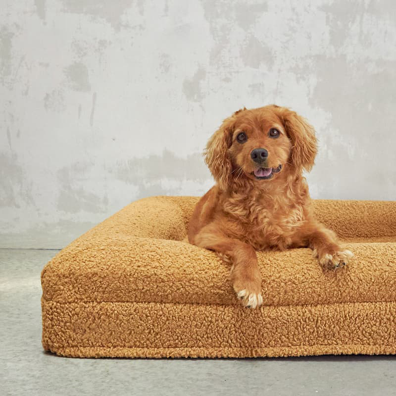 Custom Boucle Luxury Memory Foam Dog Bed for Dog with Removable Washable Cover