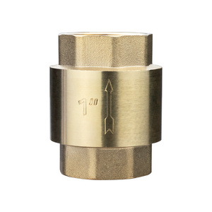 TMOK BSPT Dn 25 Spring Lifting Type PN16 DN15~DN100 Female Thread Brass Check Valve