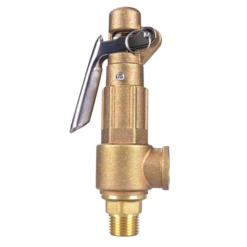 TMOK High Temperature Boiler Steam Pressure Relief Safety Valve for Steam