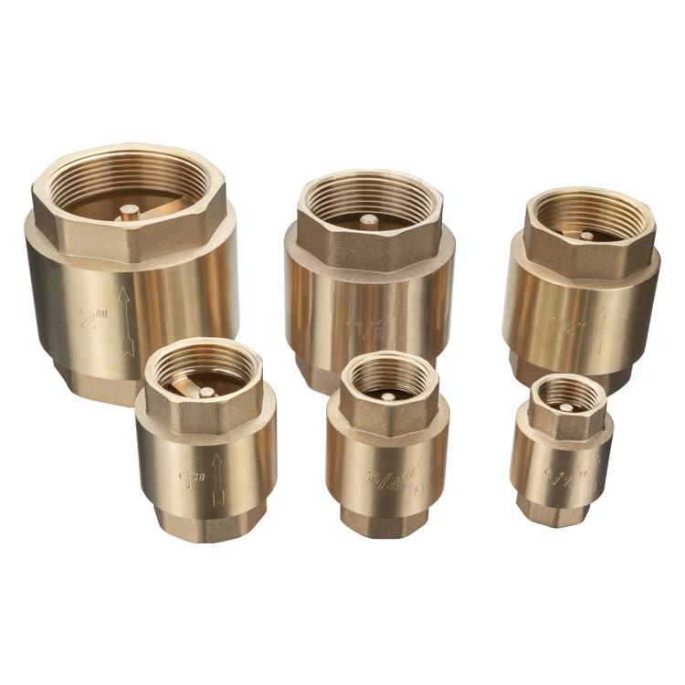 TMOK BSPT Dn 25 Spring Lifting Type PN16 DN15~DN100 Female Thread Brass Check Valve