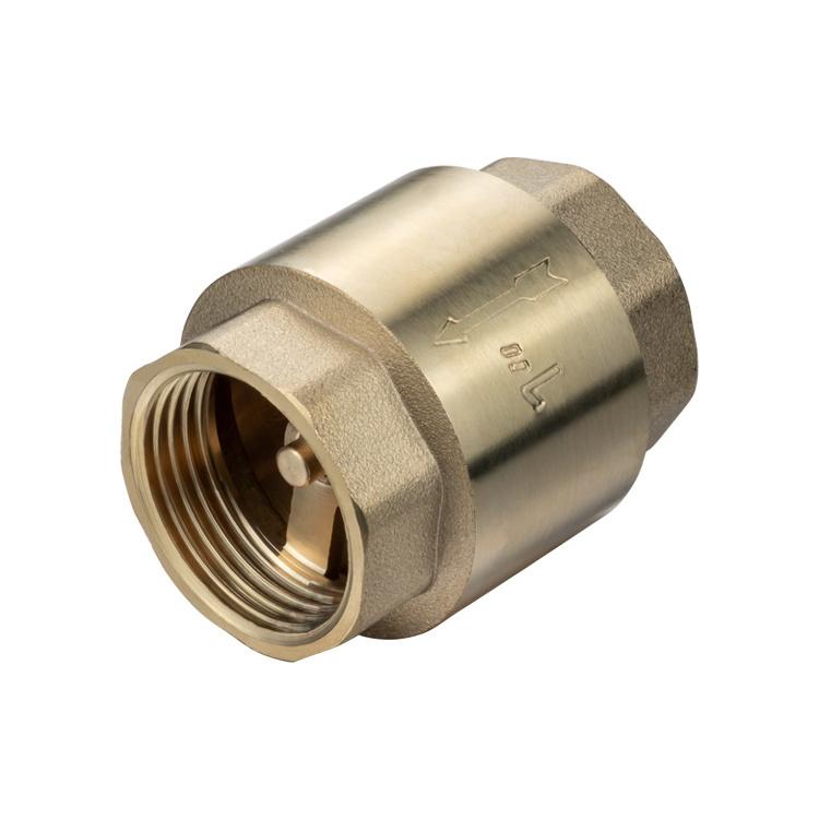 TMOK BSPT Dn 25 Spring Lifting Type PN16 DN15~DN100 Female Thread Brass Check Valve