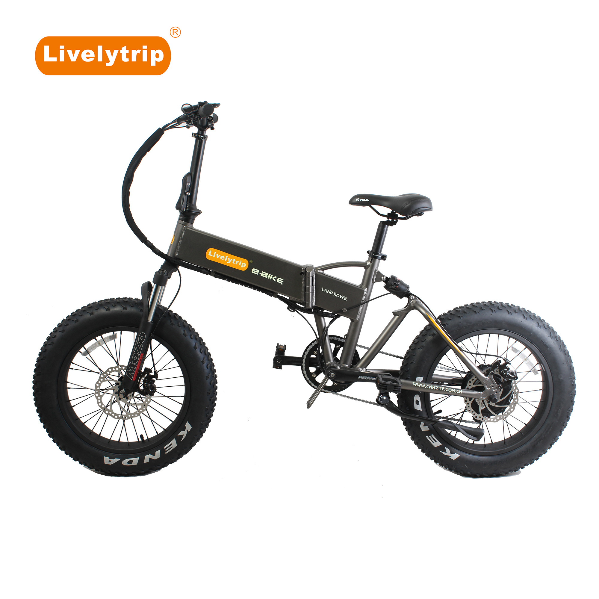 250W full suspension 20 inch fat tire folding electric bike/fat tire ebike