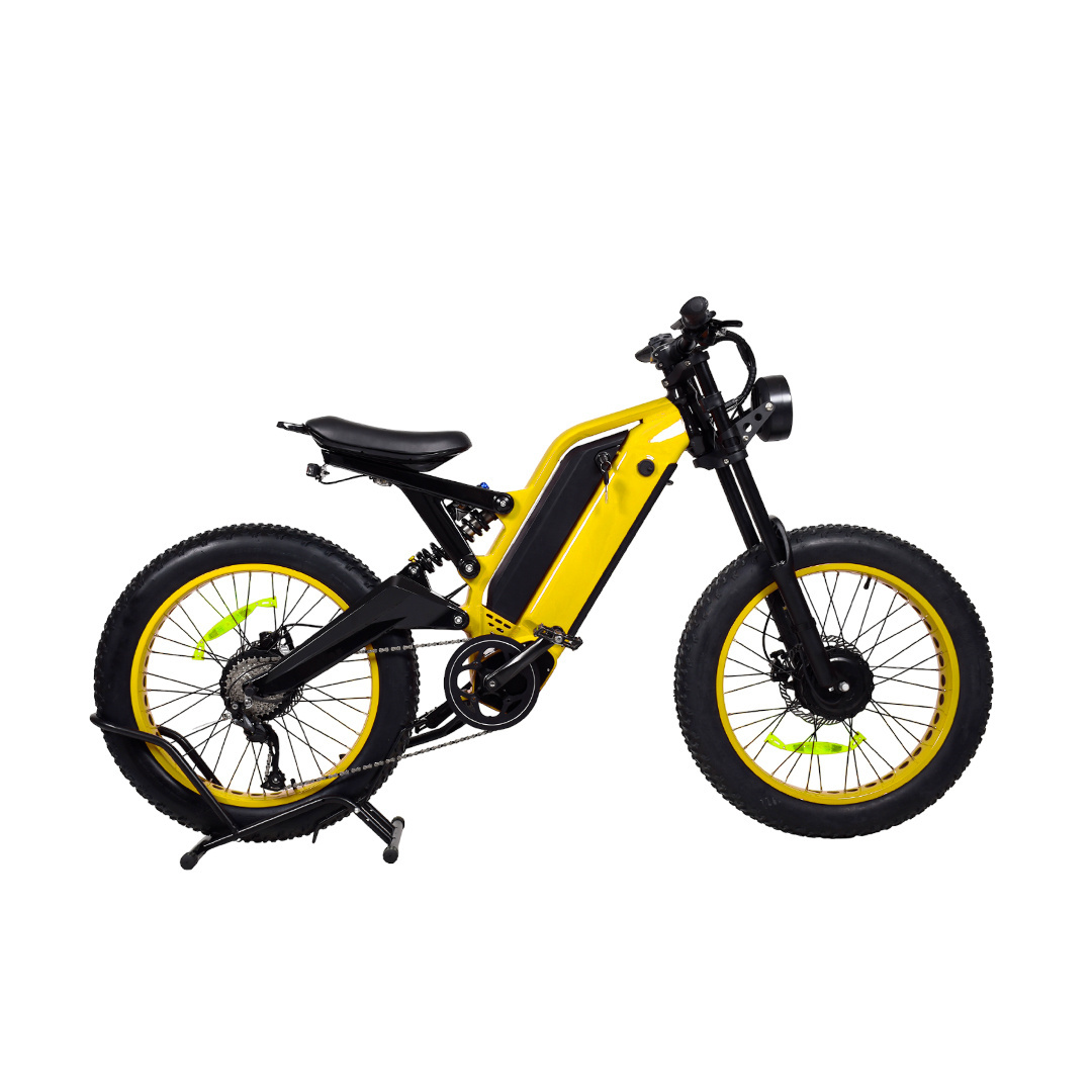 Double batteries electric fat tire bike 1000w China manufacturer 24*4.0 inch 48v 35ah removable battery electric bicycle fatbike