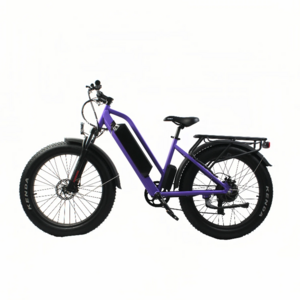 EMTB 500W motor with 15ah lg lithium battery Mountain Electric Bike Fat Tire7 Speeds  new fat tire step through ebike