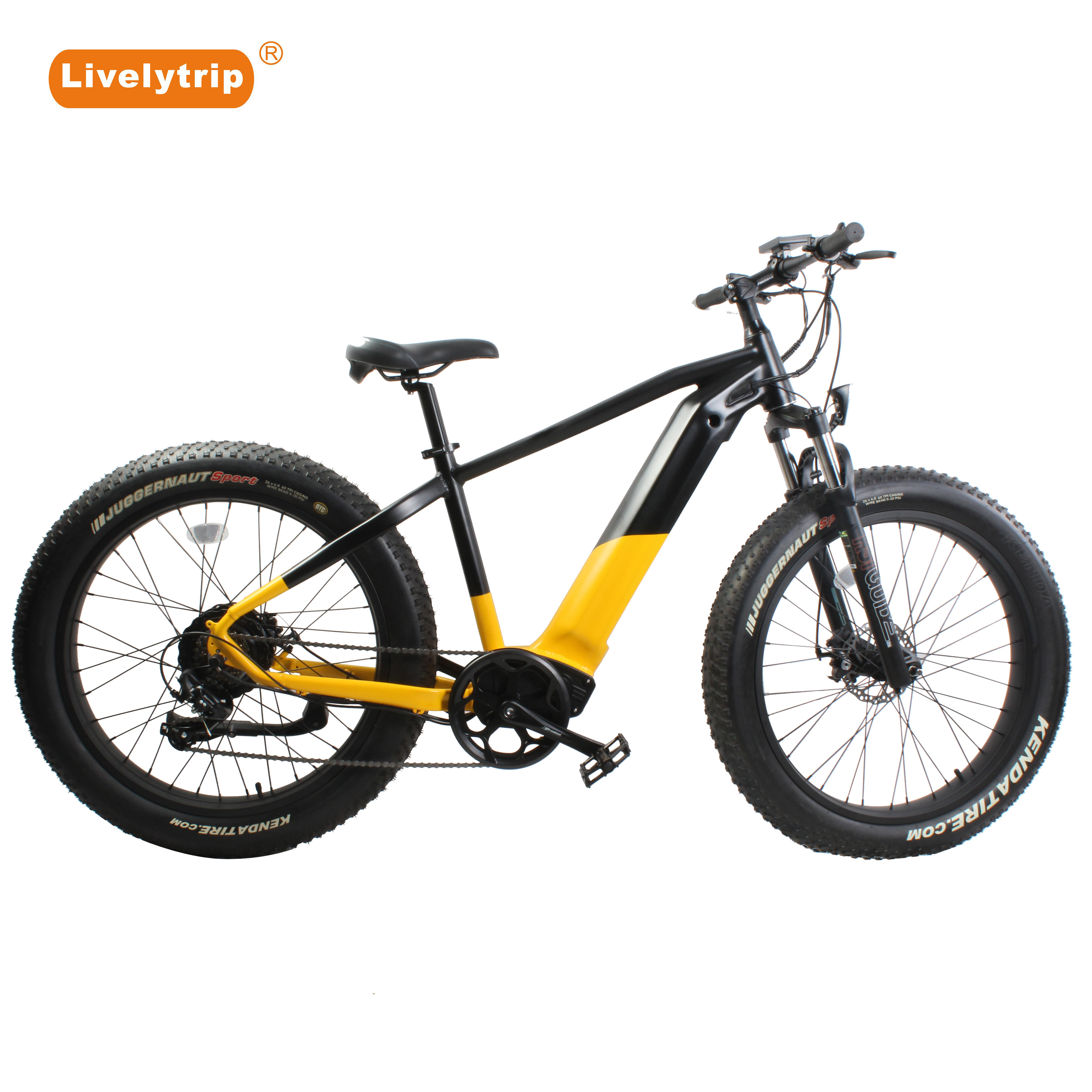 2021 New Type Fast Dirt Mountain Ebike 750W Big Rate Hub Motor  Electric Bikes fatbike electrische 60v electric bike