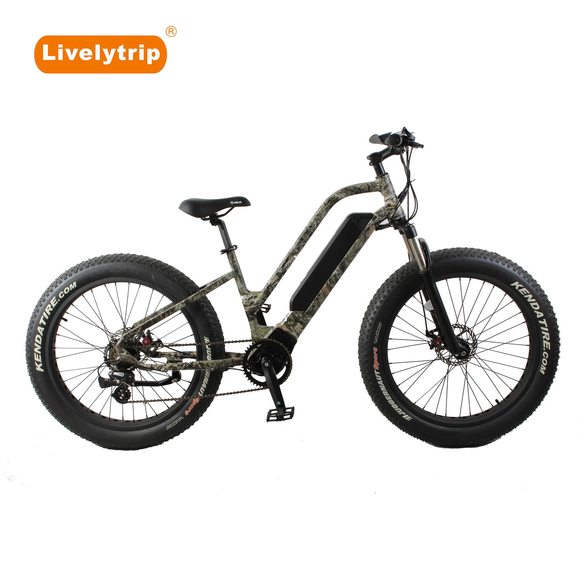 Top selling electric bike fat tire 250W 350W 500W 750W mid drive step through mountain bike