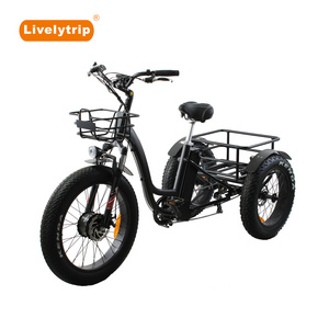 3 wheels 6 speeds electric cargo bike tricycle for adult with 48V 13Ah lithium battery 500W cargo bike