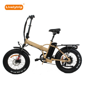 Latest 20 inch fat tire folding electric bike/portable ebike