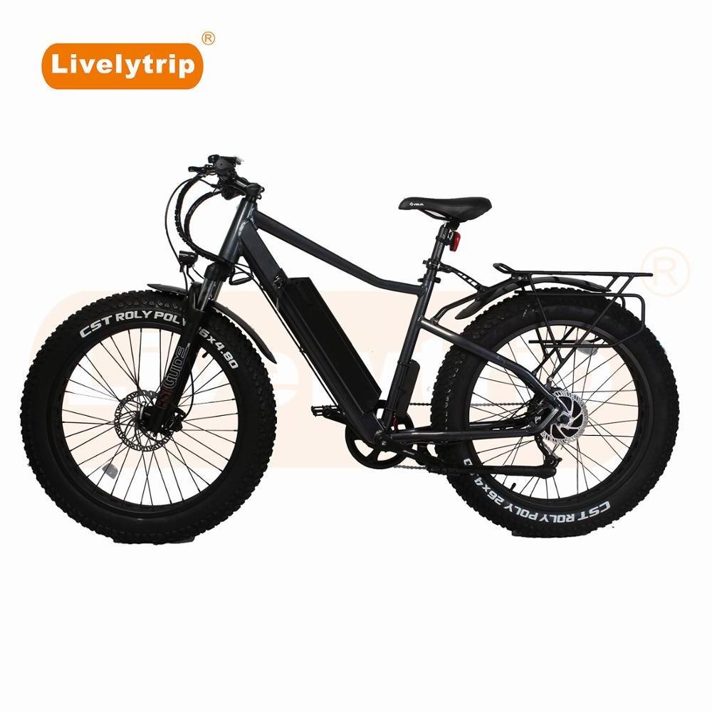 Cheap Price 48V 1000W Ebike Fat Tire Electric MTB Mountain/Snow/Dirt Bike For Sale