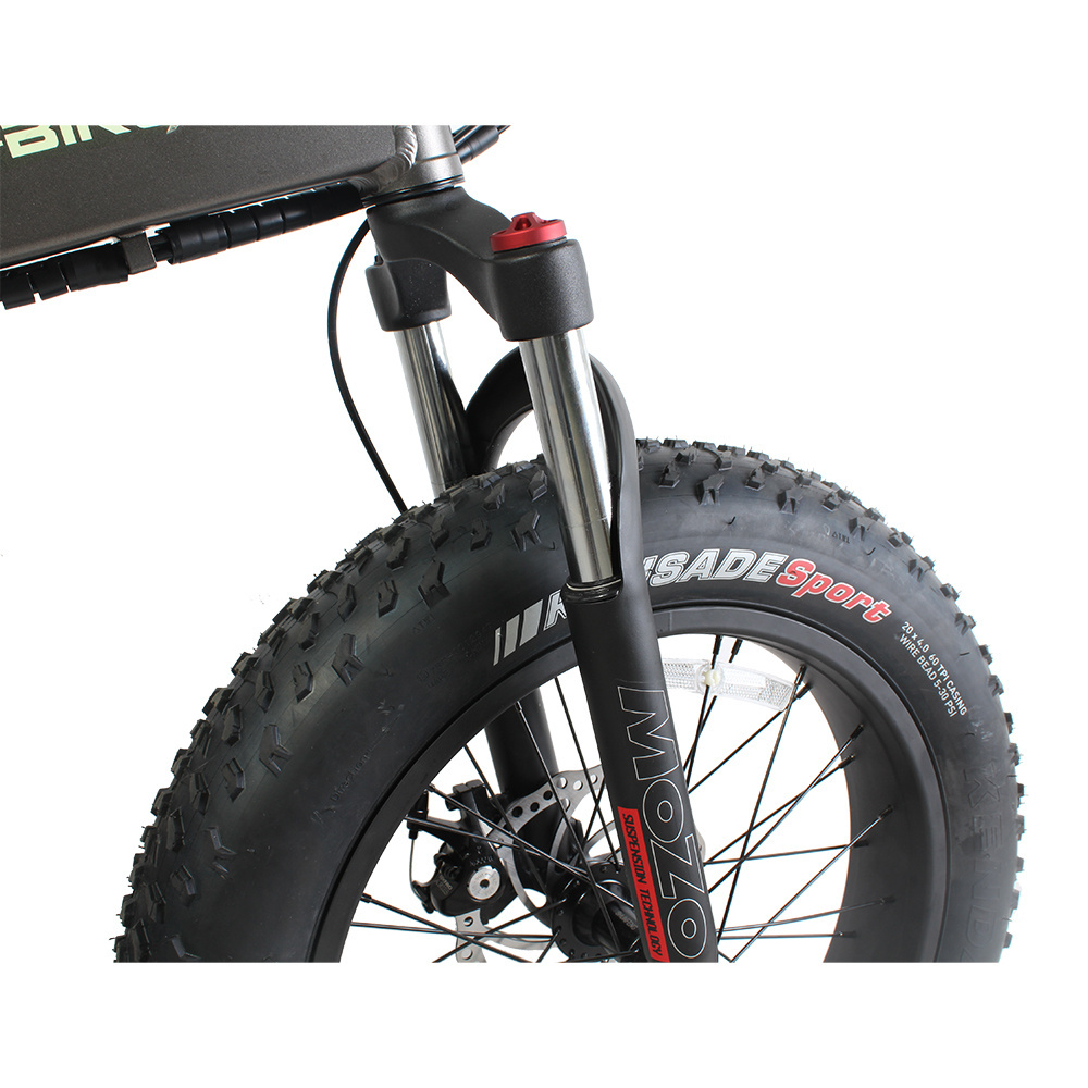 Dropshipping European Warehouse Fatbike 250w/500W/750w Electric Bicycle Fat Tire Folding Electric Bike