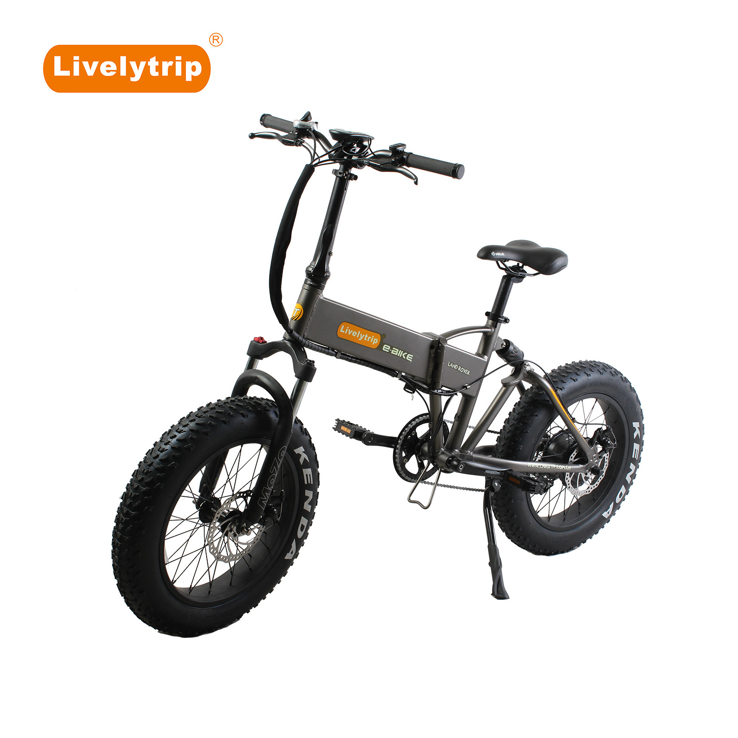 250W full suspension 20 inch fat tire folding electric bike/fat tire ebike