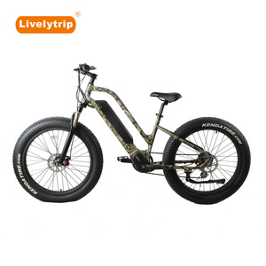 Top selling electric bike fat tire 250W 350W 500W 750W mid drive step through mountain bike