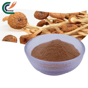 Tea Tree Mushroom Extract Organic Agrocybe Chaxingu Extract