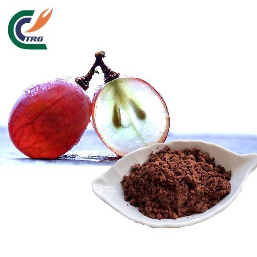 Grape seed  extract proanthocyanidins 95%