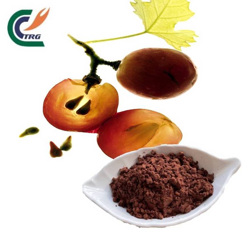 Grape seed  extract proanthocyanidins 95%