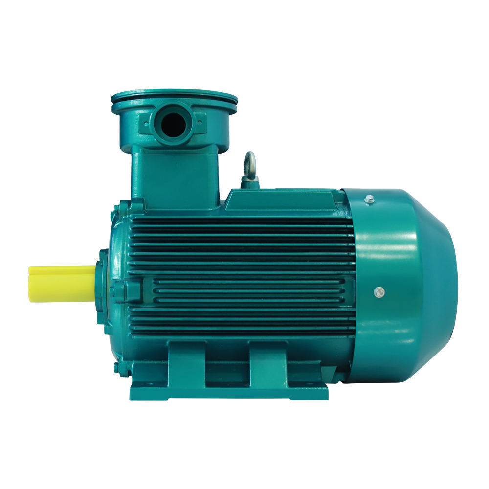 Custom 0.75kw~250kw Quality 2hp 3hp 6hp 12 Hp Electric Motor Three Phase Asynchronous Ac Motor