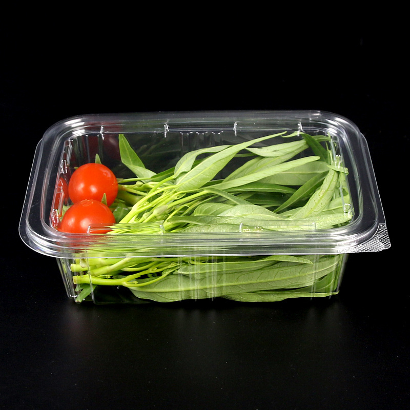 Hot Selling Factory Price Hinged Pet Plastic Folding Fruits Clear Box For Fresh Vegetable And Salad Container With Lid