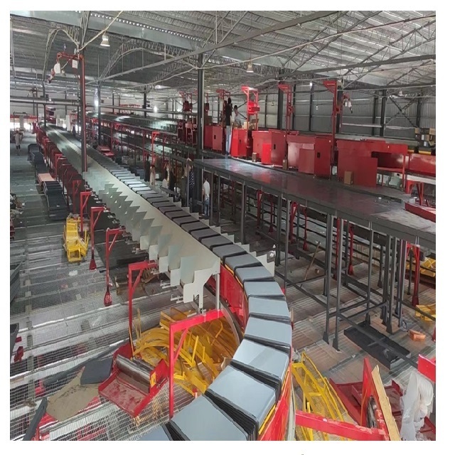 customized conveyor widely used  parcel sorting machine mail sorting machine automatic sorting conveyor with DWS