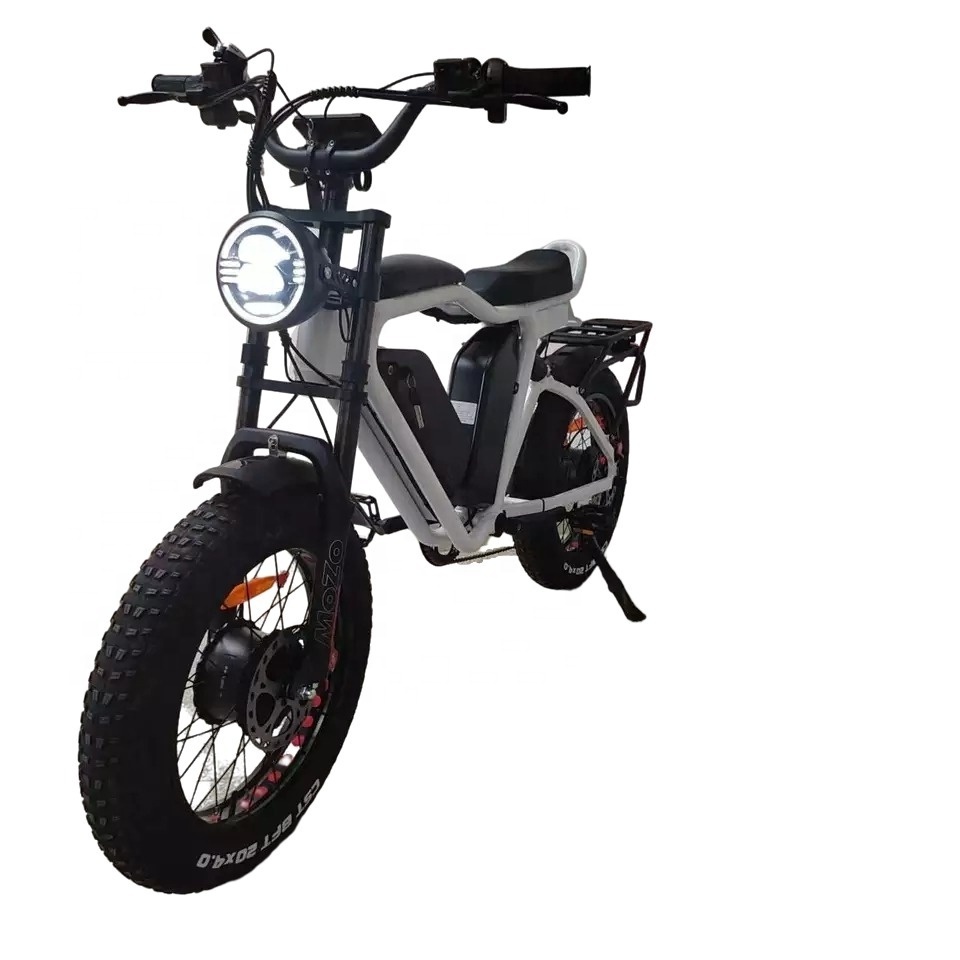 20 Inch Fat Tyre Full Suspension Oil Brake Fast Electric Bicycle 48v 1000w*2 F/R  22Ah*2 Dual Motor Double Battery Yo-lin Ebike