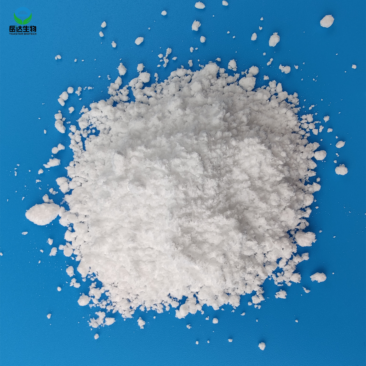 Bulk 80/200 Mesh Creatine Monohydrate in Price Creatine Powder