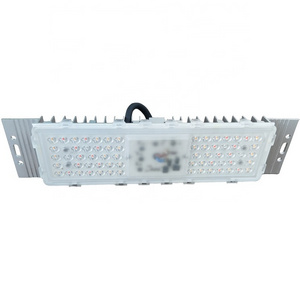 50Watt 110V 120V 220V AC Input DOB Driverless 50W RGBW LED Grow Light Module