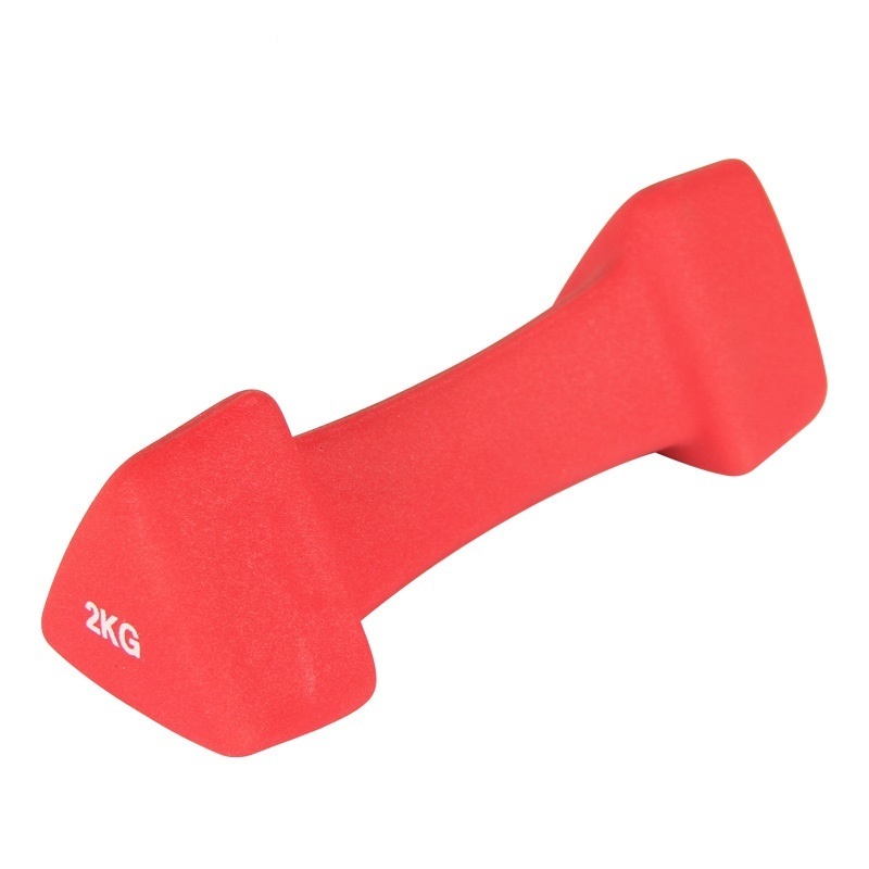 Gym Basic Equipment Triangle Shape Plastic Dip Dumbbell