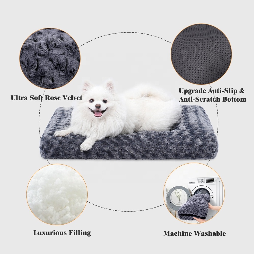 Modern Cat Mattress Wash Custom Cute Luxury Soft Small Large Crate Mat Pet Bed for Dog