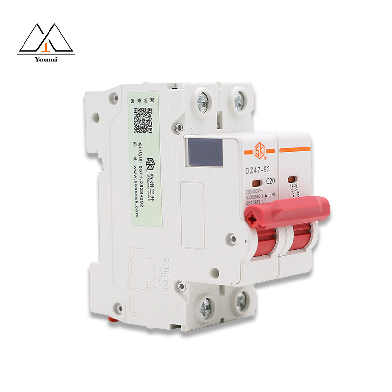 DZ47 230V 240V 50hz overload short-circuit protection small circuit breaker Residual current operation air switch