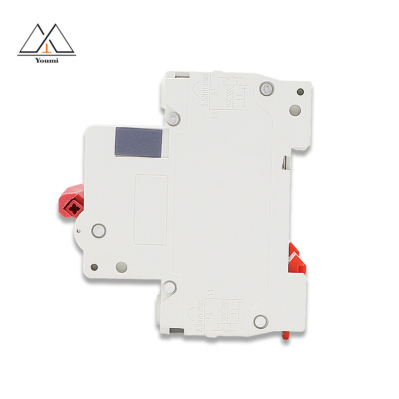 DZ47 230V 240V 50hz overload short-circuit protection small circuit breaker Residual current operation air switch