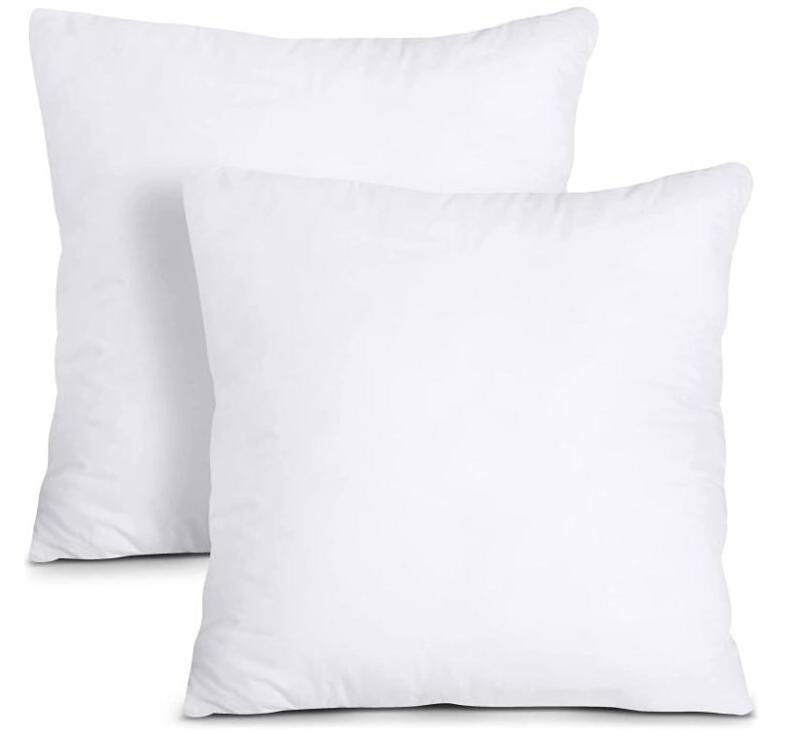 Set of 2 Feather and Down Square Decorative Throw Pillow Insert