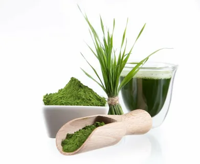 Private Label Organic Barley Grass Juice Powder - 100% Pure and Natural from Manufacturers