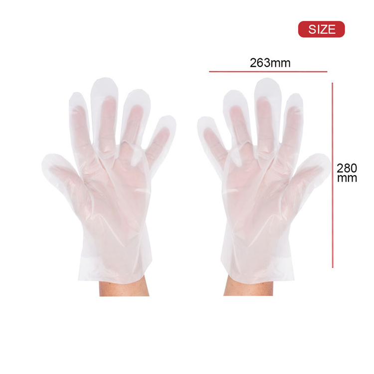 Daily Use Food High Poly Stretch Household Disposable Restaurant Tpe Gloves