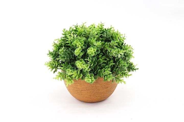 Vivid Artificial Plant Bonsai Simulation Flower Green Plant Landscaping Potted Succulent Plant Pulp Basin