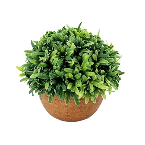 Vivid Artificial Plant Bonsai Simulation Flower Green Plant Landscaping Potted Succulent Plant Pulp Basin