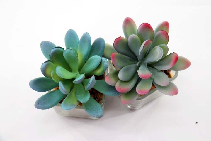 Mixed Artificial Succulent Plan Potted Decoration Factory Manufactures Wholesale Artificial Plants For Garden Home Decoration