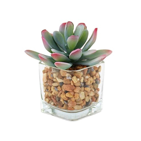 Mixed Artificial Succulent Plan Potted Decoration Factory Manufactures Wholesale Artificial Plants For Garden Home Decoration