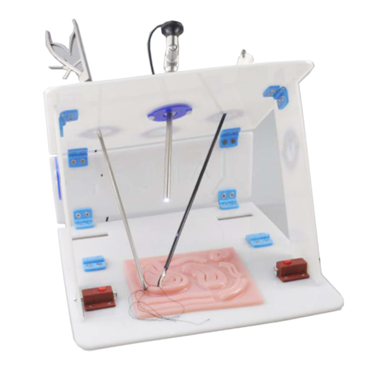 Laparoscopic Endo Trainer Box