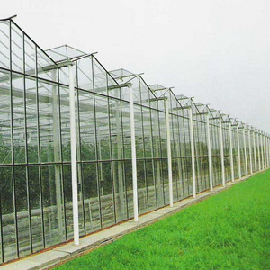 custom china wholesale glass for greenhouses float glass greenhouse