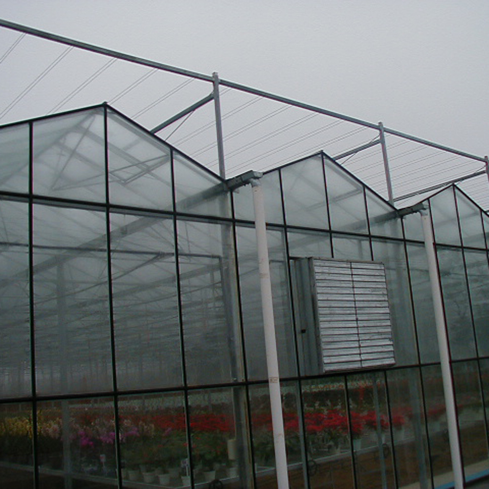 custom china wholesale glass for greenhouses float glass greenhouse