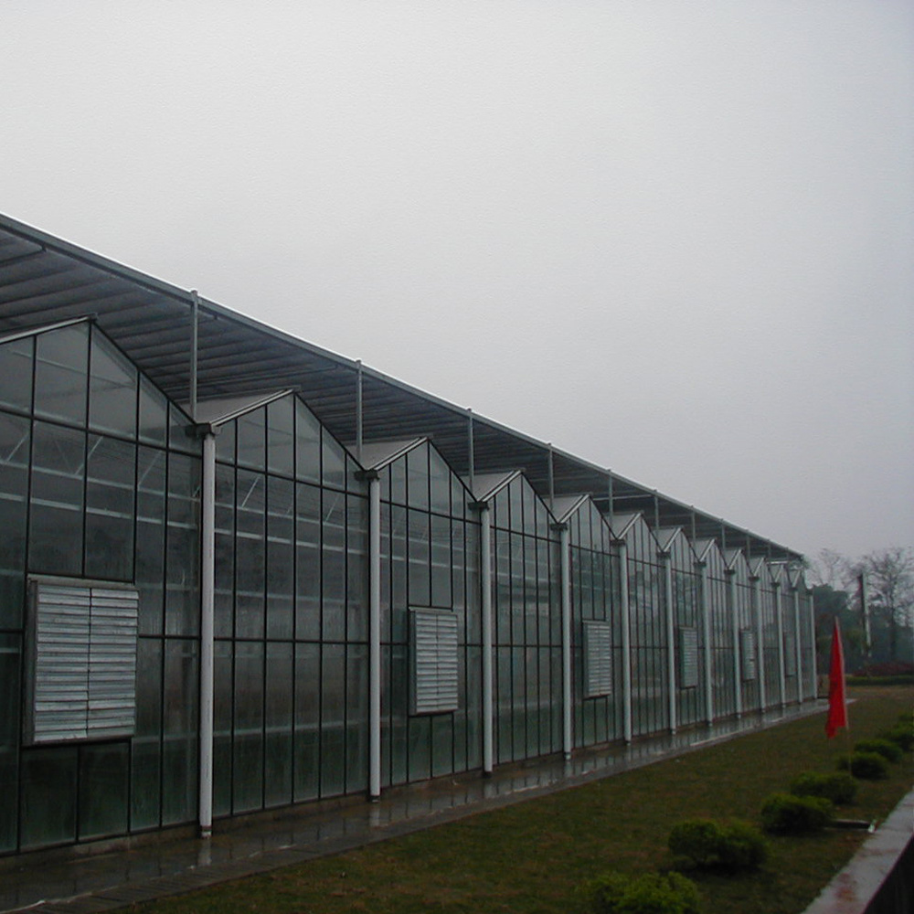 custom china wholesale glass for greenhouses float glass greenhouse