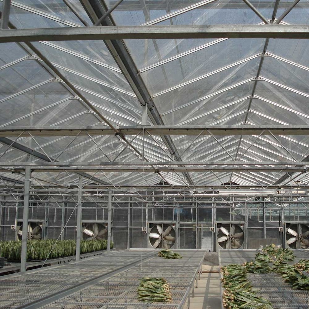 custom china wholesale glass for greenhouses float glass greenhouse