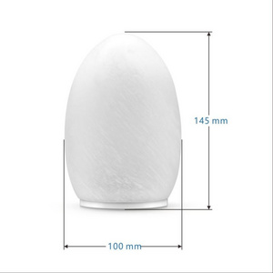 Egg Shaped Night Light Wireless Desk lamp Pattern Glass light with charger base