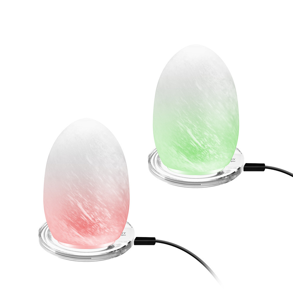 Egg Shaped Night Light Wireless Desk lamp Pattern Glass light with charger base