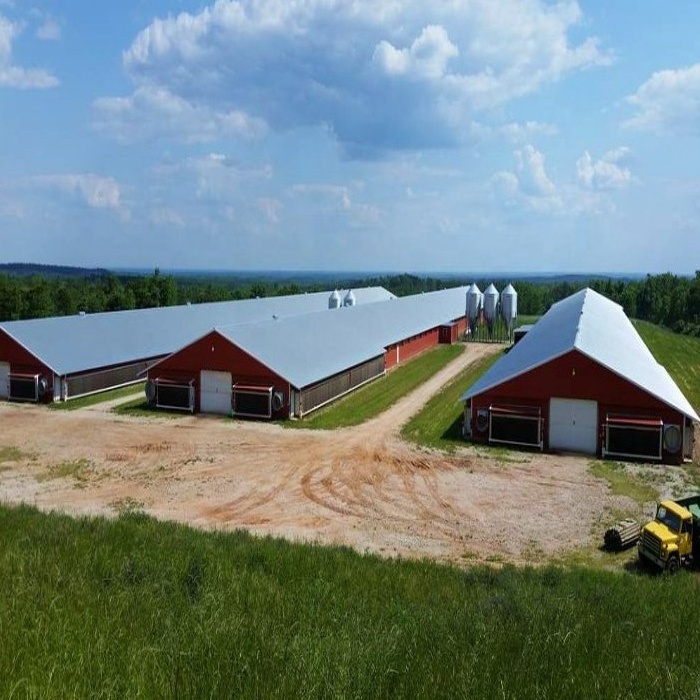 steel structure farm chicken poultry house prefab building cow barn